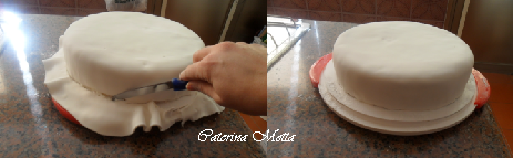 Immagine4