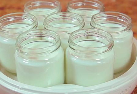yogurt fatto in casa