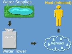 Legionella