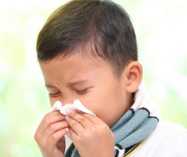 Influenza