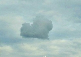 Nubi