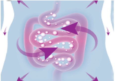 microbioma