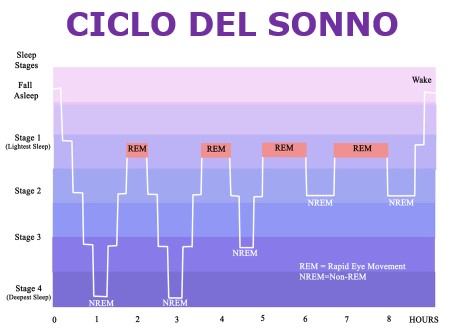 ciclo del sonno
