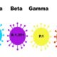 coronavirus quarta ondata