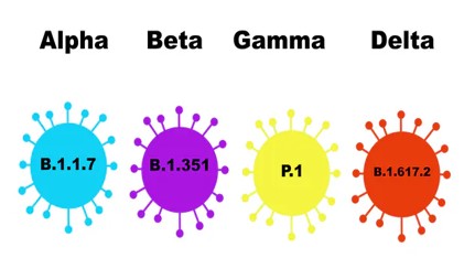 coronavirus quarta ondata