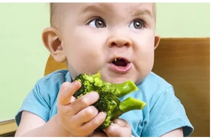 alimenti neonati biologici