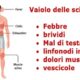 vaiolo delle scimmie