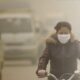 danni da smog