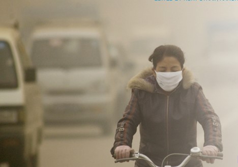 danni da smog