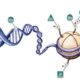 epigenetica