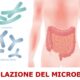 il microbioma