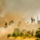cambiamento climatico salute
