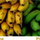 banane