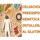 celiachia