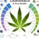 effetti cannabis