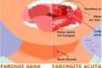 faringite