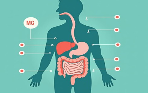 magnesio contro la stitichezza